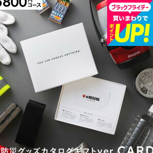 J[h^J^OMtg hЃJ^OMtgJ[h^Cv [hЃObY webJ^OMtg AbgXL[ produced by LAEPITA Ȃ] s^ at RESCUE hЃZbg hЗpi j Ԃ 