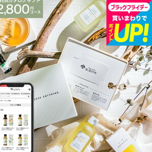 NX}Xv[g 𑡂 ̖ J[h^J^OMtg [webJ^OMtg J[h^Cv ̖ vol.1 ] Tree Of Life  tOX A}IC  ICMtg 