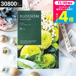 Ε Mtg J^OMtg3~ ubT BLR[X j Ԃ j o j o oYj LOi OMtg MtgJ^O Hו z bZ[WJ[