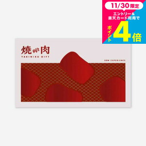 SOW EXPERIENCE \E GNXyGX J^OMtg ̌^J^OMtg ēMtg O  `Pbg vw e j LO v[g a 蕨 H j Ԃ j