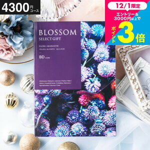 Ε Mtg J^OMtg ubT BDR[X j Ԃ j ԗi o j o oYj LOi J^OMtg MtgJ^O Hו bZ[WJ[h