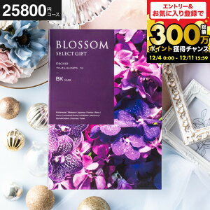 Ε Mtg J^OMtg ubT BKR[X j Ԃ j ԗi o j o oYj LOi J^OMtg MtgJ^O Hו bZ[WJ[h