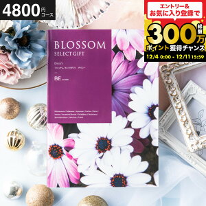 Ε Mtg J^OMtg ubT BER[X j Ԃ j ԗi o j o oYj LOi J^OMtg MtgJ^O Hו bZ[WJ[h