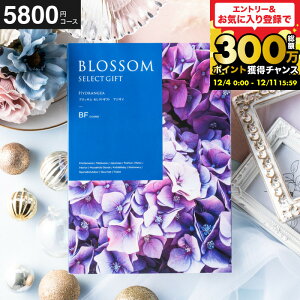 Ε Mtg J^OMtg ubT BFR[X j Ԃ j ԗi o j o oYj LOi J^OMtg MtgJ^O Hו bZ[WJ[h