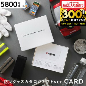 J[h^J^OMtg hЃJ^OMtgJ[h^Cv [hЃObY webJ^OMtg AbgXL[ produced by LAEPITA Ȃ] s^ at RESCUE hЃZbg hЗpi j Ԃ 