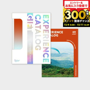 Ε Mtg ̌^J^OMtg ŃJ^OMtgiREDj / SOW EXPERIENCE \E GNXyGX ŃV[Y MtgJ^O ̌ s s j V vw e LO