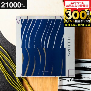 jMtg "kG 2iIׂ"CX J^OMtg ILLUMSiBellevuej 21200~R[X j j oYj Vzj jԂ ܂Ƃߔ J^OMtgyV 