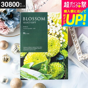 Ε Mtg J^OMtg3~ ubT BLR[X j Ԃ j o j o oYj LOi OMtg MtgJ^O Hו z bZ[WJ[