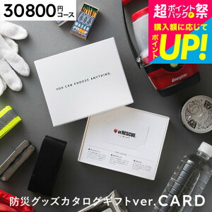 Ε Mtg J[h^J^OMtg g hЃJ^OMtg J[h^Cv [hЃObY webJ^OMtg AbgXL[ produced by LAEPITA ܂] s^ at RESCUE hЗpi 