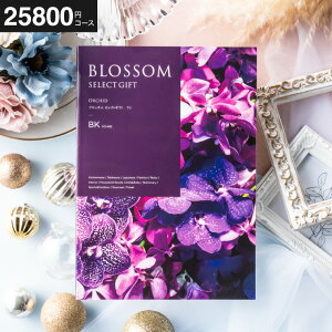 Ε Mtg J^OMtg ubT BKR[X j Ԃ j ԗi o j o oYj LOi J^OMtg MtgJ^O Hו bZ[WJ[h