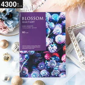 Ε Mtg J^OMtg ubT BDR[X j Ԃ j ԗi o j o oYj LOi J^OMtg MtgJ^O Hו bZ[WJ[h