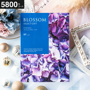 Ε Mtg J^OMtg ubT BFR[X j Ԃ j ԗi o j o oYj LOi J^OMtg MtgJ^O Hו bZ[WJ[h