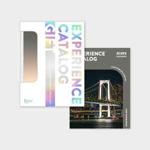 Ε Mtg SOW EXPERIENCE \E GNXyGX J^OMtg ̌^J^OMtg  J^OMtgiSILVERj / ŃV[Y MtgJ^O ̌Mtg`Pbg s 