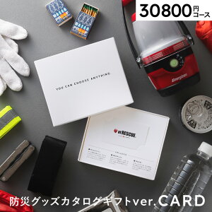 Ε Mtg J[h^J^OMtg g hЃJ^OMtg J[h^Cv [hЃObY webJ^OMtg AbgXL[ produced by LAEPITA ܂] s^ at RESCUE hЗpi 