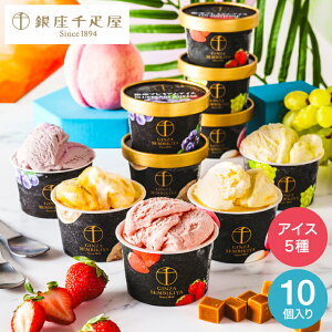 お歳暮 ギフト 銀座千疋屋 アイスクリーム 10個 銀座プレミアムアイス PGS-036N(メーカー直送)(のし・包装紙・メッセージカード不可) 冷凍便 スイーツ 内祝い お菓子 お返し アイスクリーム 出