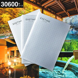 J^OMtg EXETIMEiGO[^Cj SILVER s s ̌ Mtg j Ԃ j ԗi o j j LOi MtgJ^O ʐ^ bZ[WJ[h 