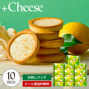  +Cheese vX`[Y `[Y^gi5Zbg / 10Zbgj [ ݌ɏ 󂠂 Z[ َq mَq