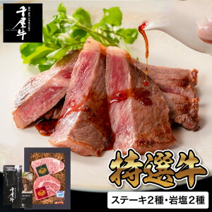 ���N�� �~�M�t�g �O���� ���I�牮���X�e�[�L 300g 97020-300 ���[�J�[���� �������� �Ⓚ�� / ��Ε� ���j�� �������j�� �o�Y���j�� �����j�� �o�Y�j�� ���Ԃ� �L�O�� �l�ߍ��킹 �����񂹃O��