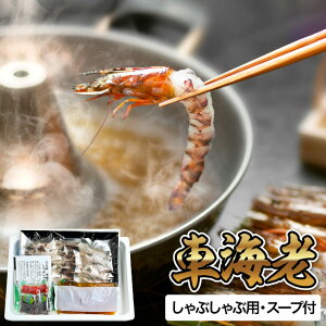 ���N�� �~�M�t�g �O���� �J�� �ԊC�V�̂���Ԃ���� KZ-3126 ���[�J�[���� �������� �Ⓚ�� / ��Ε� ���j�� �������j�� �o�Y���j�� �����j�� �o�Y�j�� ���Ԃ� �L�O�� �l�ߍ��킹 �����񂹃O