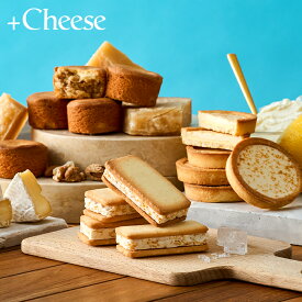 +Cheese プラスチーズ それはおいしい方程式！（包装済、のしは外のし）/ 内祝い 手土産 お菓子 ギフト 個包装 チーズサンド ガレット タルト チーズケーキサンド クッキー スイーツ 贈答品 出産内祝い 父の日ギフト