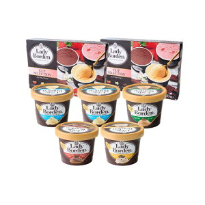 お歳暮 ギフト ロッテ レディーボーデンアイス カップ 17個セット S057 メーカー直送 のし・包装・メッセージカード利用不可 / 内祝い お返し 出産 結婚 詰合せ 人気 定番 おすすめ デザート