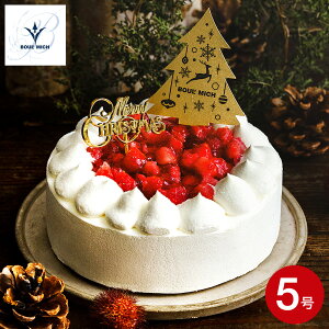 NX}XP[L 2025 u[~bVďC t[YmG NX}Xp[eB[ z[P[L [J[ Ⓚ ͂12/23`12/25 Ԍ NX}X lC  NX}X