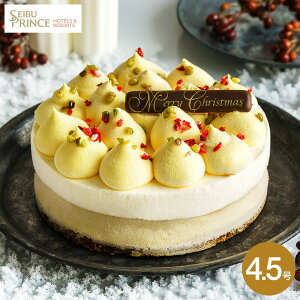 NX}XP[L \ 2025 vXze p[tFNg`[YP[L 4.5 NX}Xp[eB[ z[P[L [J[ Ⓚ ͂12/23`12/25 Ԍ NX}X lC 