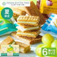 お中元 夏ギフト お菓子 ギフト スイーツ 期間限定 シュガーバターサンドの木 シャインマスカットショコ…