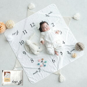 oYj ^I GufCAjo[T[ I[KjbNRbg^I 100×100cm 42050 / Mtg 5000~ ȉ v[g xr[ K[[pC^I  ^IPbg I[KjbNRb