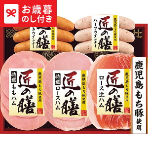 Ε Mtg v}n ̑VMtg TZ-SH  [J[ LTDU / n ΕMtg 2025 Ε Εp l lߍ킹 Zbg JGS