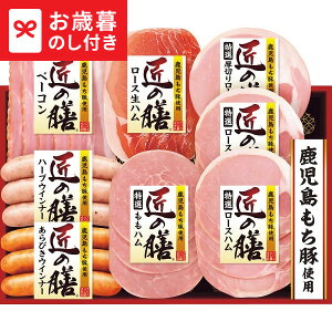 Ε Mtg v}n ̑VMtg TZ-SC  [J[ LTDU / n ΕMtg 2025 Ε Εp l lߍ킹 Zbg JGS