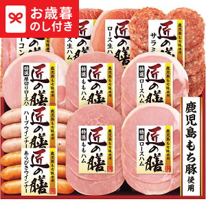 Ε Mtg v}n ̑VMtg TZ-SD  [J[ LTDU / n ΕMtg 2025 Ε Εp l lߍ킹 Zbg JGS