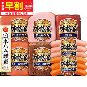 Ε Mtg  {n {ihMtg NH-51  [J[ LTDU / n ΕMtg 2025 Ε Εp l lߍ킹 Zbg JGS