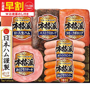 Ε Mtg  {n {ihMtg NH-36  [J[ LTDU / n ΕMtg 2025 Ε Εp l lߍ킹 Zbg JGS