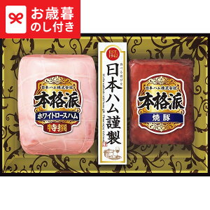 Ε Mtg {n {ihMtg NH-307  [J[ LTDU / n ΕMtg 2025 Ε Εp l lߍ킹 Zbg JGS