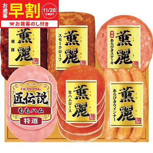 Ε Mtg  v}n O&`Mtg SD-F  [J[ LTDU / n ΕMtg 2025 Ε Εp l lߍ킹 Zbg JGS