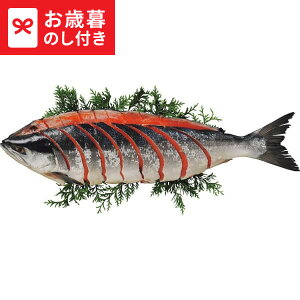 Ε Mtg gpؐg(1)  [J[ LTDU / O ΕMtg 2025 Ε Εp l lߍ킹 Zbg JGS