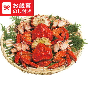 Ε Mtg kCY ԍ炪ɂ̃{CJbg(2t)  [J[ LTDU / O ΕMtg 2025 Ε Εp l lߍ킹 Zbg JGS