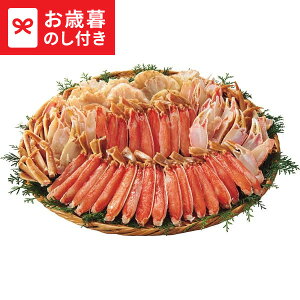 Ε Mtg 킢ɔނg(2kg)  [J[ LTDU / O ΕMtg 2025 Ε Εp l lߍ킹 Zbg JGS