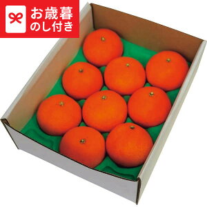 Ε Mtg QY ܂ǂ(2kg)(Qʎ28)  [J[ LTDU / O ΕMtg 2025 Ε Εp l lߍ킹 Zbg JGS