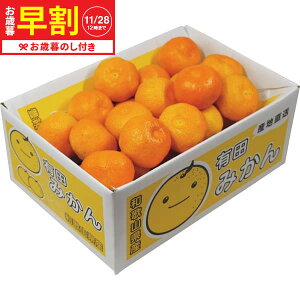 お歳暮 ギフト 早割 和歌山県産 有田みかん(3kg) 送料無料 メーカー直送 LTDU / グルメ お歳暮ギフト 2025 御歳暮 お歳暮専用 詰合せ 詰め合わせ セット JGS