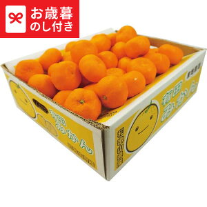 Ε Mtg a̎RY Lc݂(5kg)  [J[ LTDU / O ΕMtg 2025 Ε Εp l lߍ킹 Zbg JGS