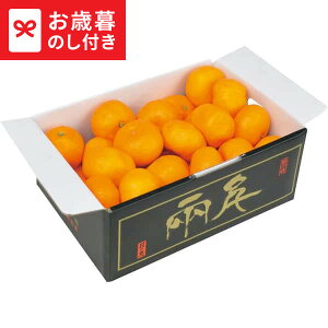 Ε Mtg QY ̊ۂ݂(2kg)  [J[ LTDU / O ΕMtg 2025 Ε Εp l lߍ킹 Zbg JGS