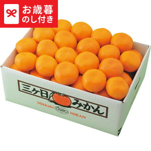 Ε Mtg ÉY O݂(4kg)  [J[ LTDU / O ΕMtg 2025 Ε Εp l lߍ킹 Zbg JGS