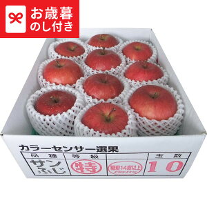 お歳暮 ギフト 青森県産 糖度14度以上サンふじ (2.5kg) 送料無料 メーカー直送 LTDU / グルメ お歳暮ギフト 2025 御歳暮 お歳暮専用 詰合せ 詰め合わせ セット JGS