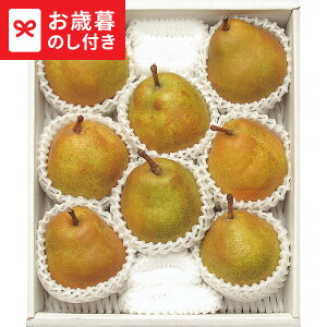 Ε Mtg ݉̎R`YEtX(3.2kg)  [J[ LTDU / O ΕMtg 2025 Ε Εp l lߍ킹 Zbg JGS