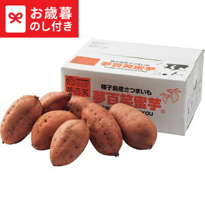 Ε ~Mtg Y SΖ([)(2kg)  [J[ LTDU / O ΕMtg 2025 Ε Εp l lߍ킹 Zbg JGS