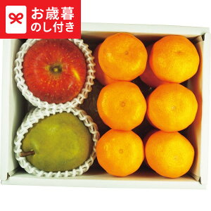 Ε ~Mtg t[c ʕ Lc݂EMBTӂ񂲁EEtXl  [J[ LTDU / O ΕMtg 2025 Ε Εp l lߍ킹 Zbg JG