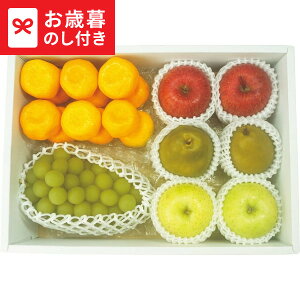 Ε Mtg ґȍYt[c5l  [J[ LTDU / O ΕMtg 2025 Ε Εp l lߍ킹 Zbg JGS