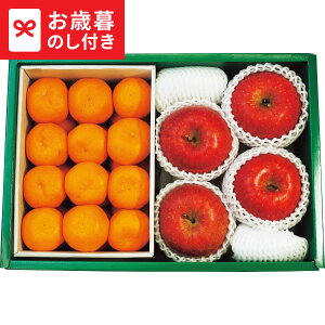 Ε Mtg Lc݂ETӂ  [J[ LTDU / O ΕMtg 2025 Ε Εp l lߍ킹 Zbg JGS